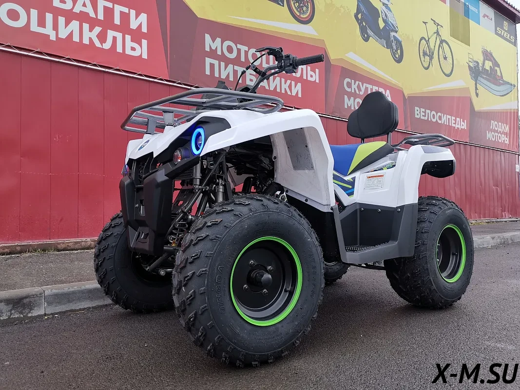Квадроцикл PROMAX RENEGADE 280 (2025) Квадроцикл PROMAX RENEGADE 280 (2025)