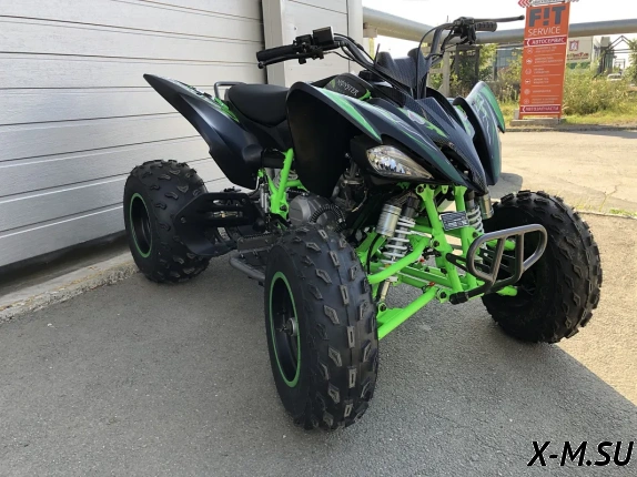 Квадроцикл PROMAX RAPTOR 320 Monster