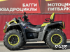 Квадроцикл AODES Pathcross ATV650L MUD PRO EPS, двухместный