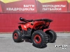 Квадроцикл PROMAX WILD 175 BASIC