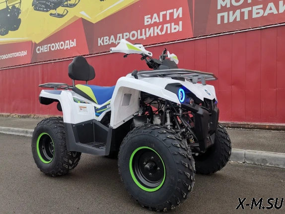 Квадроцикл PROMAX RENEGADE 300 LUX