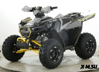Квадроцикл бензиновый MOTAX GRIZLIK  RAPTOR D125 LUX (3+1)