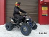 Квадроцикл PROMAX RAPTOR 320 RedBull