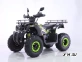 Квадроцикл TAO MOTORS REPTILE-200 (WARRIOR)