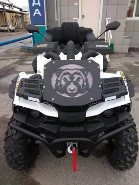 Комплект выноса и радиатора STELS Guepard 650-850 Combat с установкой